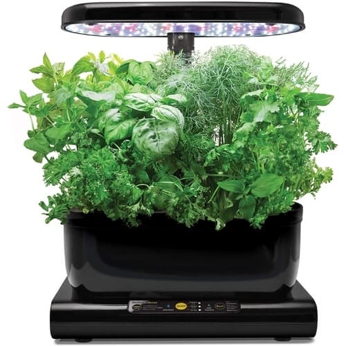 AeroGarden Harvest (Classic Model) - Black Gift Ideas for Who Have Everything