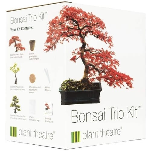 Plant Theatre Bonsai Trio Kit - 3 Distinctive Bonsai Trees to Grow - Great Gift Christmas Presents for Parents
