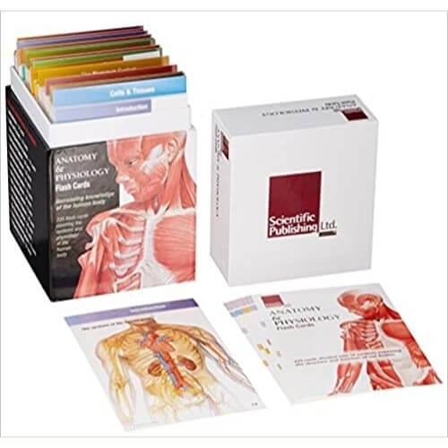 Anatomy and Physiology Flash Cards Gifts For Nurses
